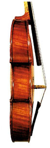 Stelzner Viola